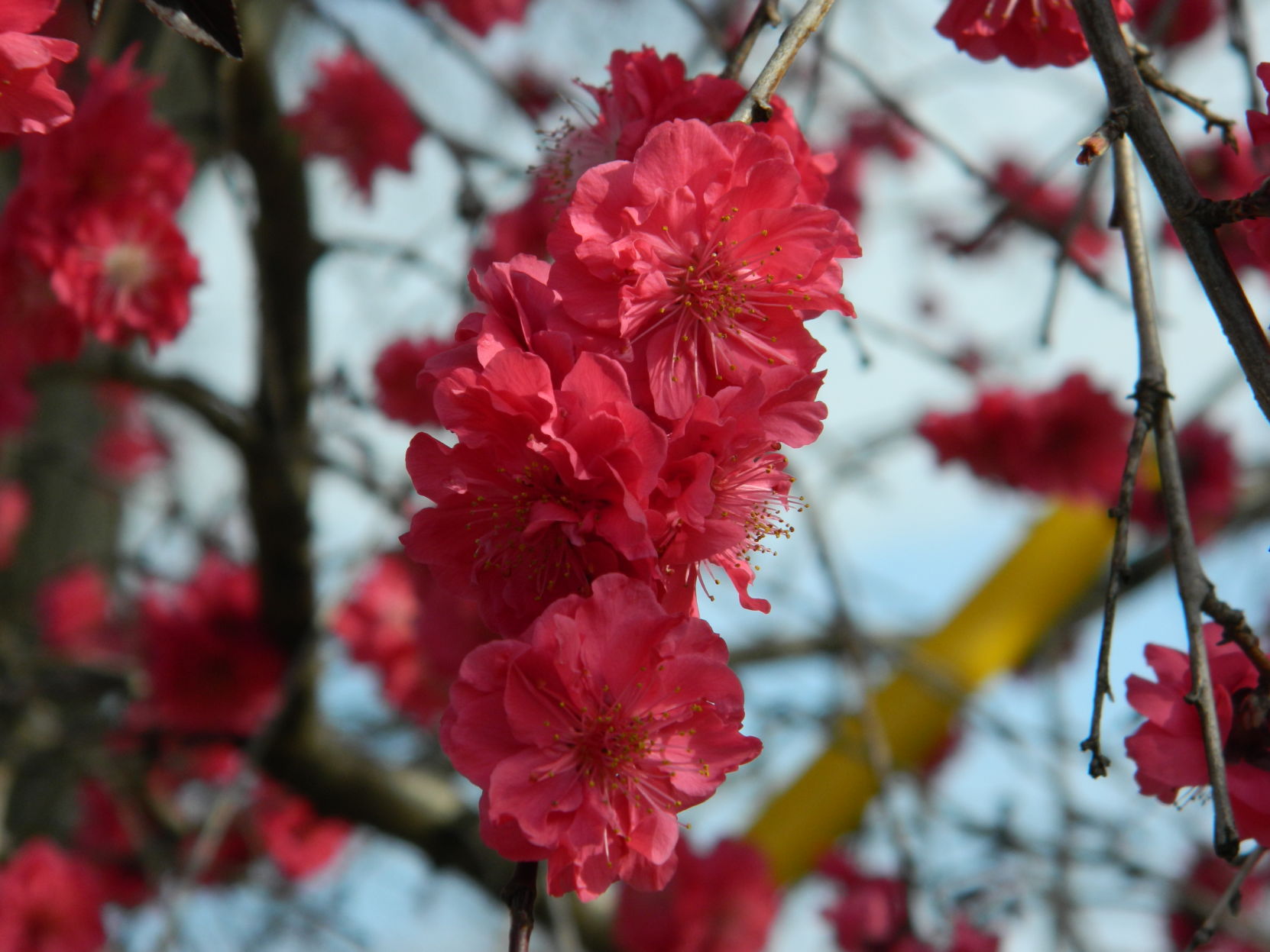 Spring photos (35).JPG
